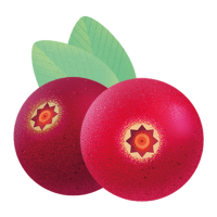 Two red cranberries with green leaves.
