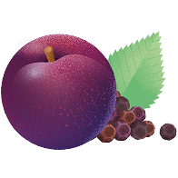 Purple plum with a green leaf and small dark berries.
