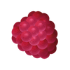 RASPBERRY